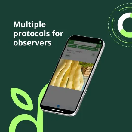 Seedsoft-multiple-protocols-for-observers