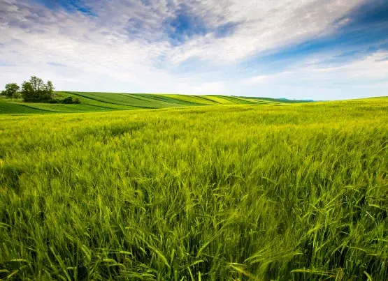SeedSoft_home_gallery_03